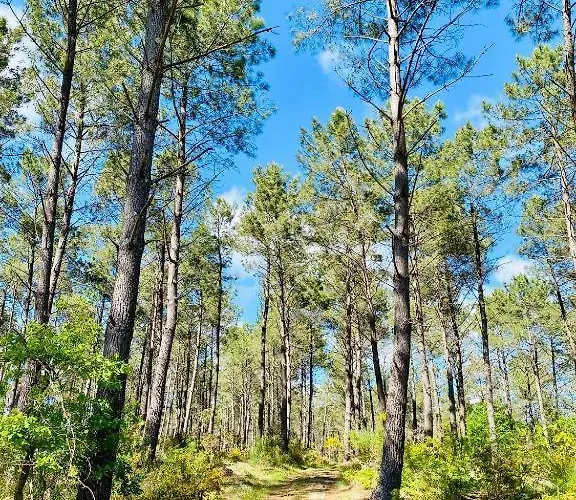 Kemping O'contisparadise *